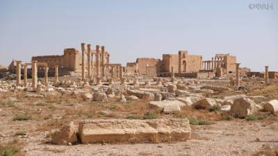Ученые России напечатают 3D-модель античных зданий сирийской Пальмиры