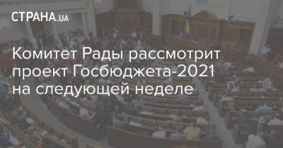 Комитет Рады рассмотрит проект Госбюджета-2021 на следующей неделе