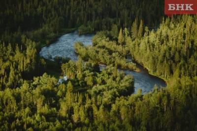 «Девственные леса Коми» стали финалистами конкурса развития экотуризма