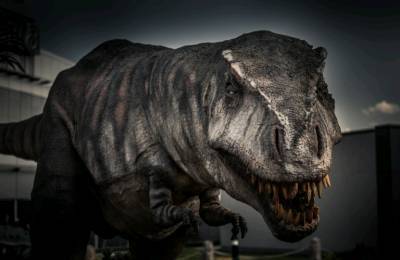 Палеонтологи: Сканирование челюсти зародыша тираннозавра показало, что он имел размер мыши