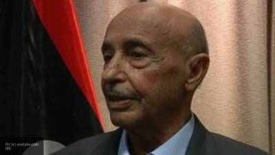 Салех обсудил мирное урегулирование в Ливии с представителями Тарагина