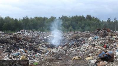 Первая процедура банкротства мусорного оператора запущена в России