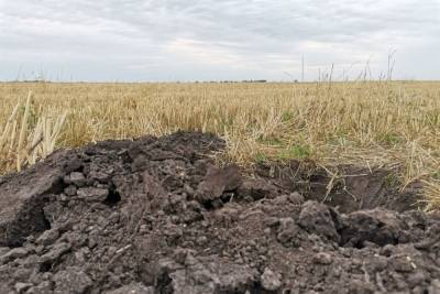 На земельном участке в 16 га под Ясногорском нашли много численные нарушения