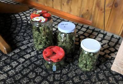 Житель Тверской области «закатывал» марихуану в банки