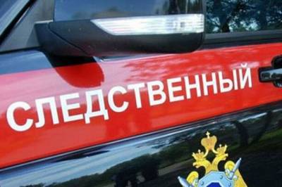 СКР завел дело по факту смерти ребенка в фитнес-центре в Москве