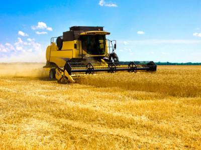 Глава Госгеокадастра Украины: Более 5 млн га государственных сельхозземель вошли в частные латифундии