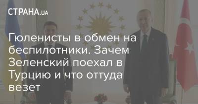 Гюленисты в обмен на беспилотники. Зачем Зеленский поехал в Турцию и что оттуда везет