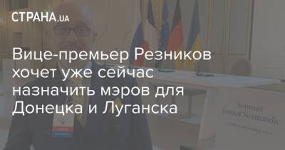 Вице-премьер Резников хочет уже сейчас назначить мэров для Донецка и Луганска
