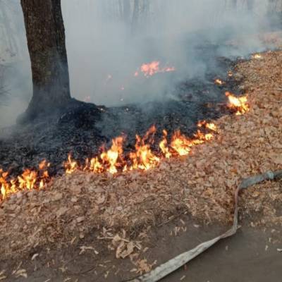 В Ульяновске количество пожаров снизилось на треть