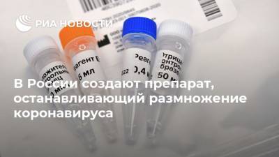 В России создают препарат, останавливающий размножение коронавируса
