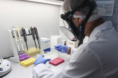 Россия создаст уникальный останавливающий размножение коронавируса препарат