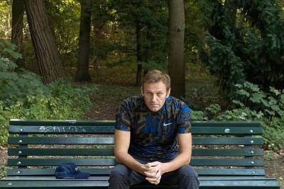 Алексей Навальный - Ортагус Морган - Андрей Ярин - США поддержали санкции ЕС из-за инцидента с Навальным - mk.ru - США - Брюссель