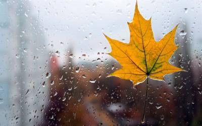 Небольшой дождь и заметное похолодание. Погода в Ульяновской области на 17 октября