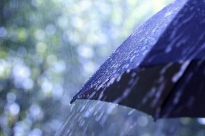 Значительные дожди по стране и мокрый снег в Карпатах: ГСЧС предупредила об ухудшении погоды в субботу