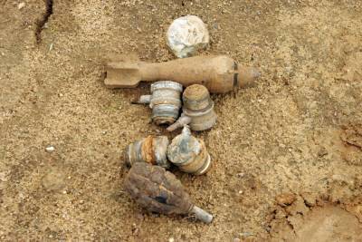 В Смоленской области нашли девять боеприпасов времен войны в пятницу