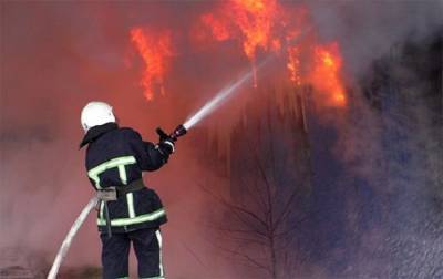 В Украине в пожарах погибли и пострадали более 2 тысяч человек с начала года