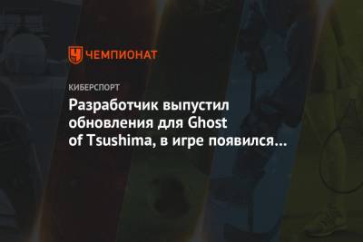 Разработчик выпустил обновления для Ghost of Tsushima, в игре появился кооперативный режим