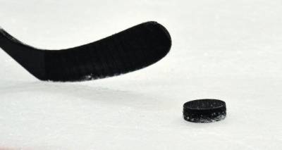 Элвис Мерзликин - Балцерс и Кивлениекс согласились на двусторонние контракты с клубами НХЛ - lv.sputniknews.ru - Рига