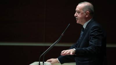 Эрдогану рекомендовали лично убедиться в принадлежности Крыма России