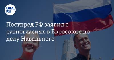Постпред РФ заявил о разногласиях в Евросоюзе по делу Навального