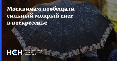 Москвичам пообещали сильный мокрый снег в воскресенье