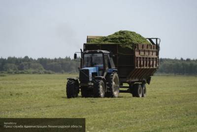 Поддержку сельского хозяйства в России решили заметно расширить