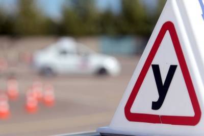 В Общественной палате Москвы призвали ввести водительские права на средства индивидуальной мобильности