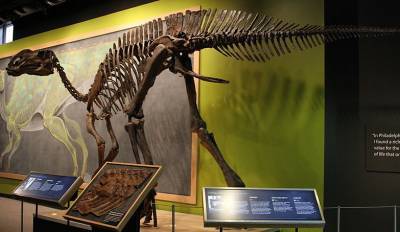 В Канаде 12-летний мальчик обнаружил останки жившего 69 млн лет назад динозавра