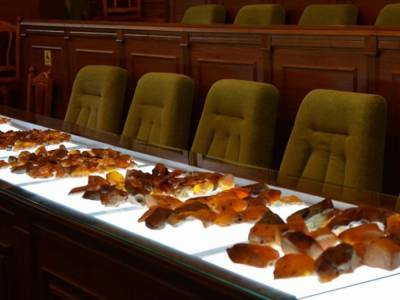 В Луцке прошел первый в Украине аукцион по продаже янтаря