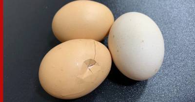 Стало известно, в каком виде яйца смертельно опасны