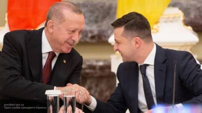 Глава Турции получил украинскую государственную награду