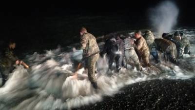Очевидцы несколько часов бились за жизнь косатки, выброшенной на берег. Видео