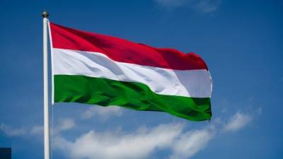 Венгрия увидела уникальные возможности в "коронакризисе"