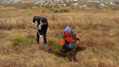 Пензенские экоактивисты продолжают работу в парке «Дружба»