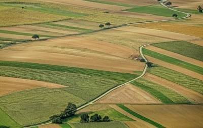 В Украине более 5 млн гектаров земель незаконно вывели в частную собственность