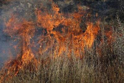 В Рязанской области заживо сгорел мужчина