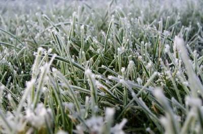 В Украине ударят заморозки: синоптик рассказал, где уже сегодня ждать снега