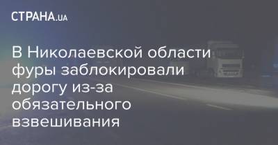 В Николаевской области фуры заблокировали дорогу из-за обязательного взвешивания