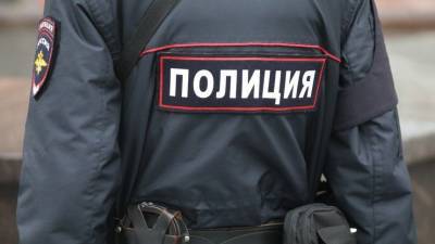 Видео: Полицейские зверски задержали и избили мужчину в метро в Петербурге