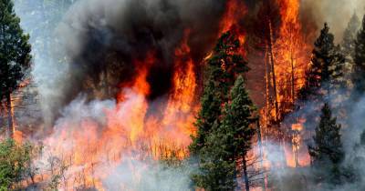 Крупнейший в истории Колорадо пожар охватил 805 кв. км