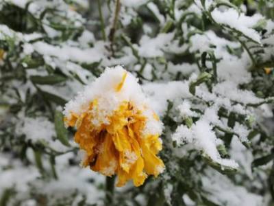 Первый снег выпал в Башкирии
