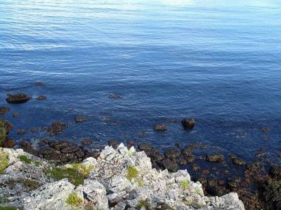 В Баренцевом море затонуло судно, пропали трое членов экипажа