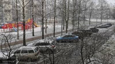 Синоптики прогнозируют выпадение мокрого снега в Петербурге