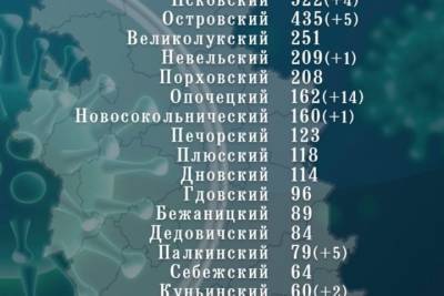 В одном из районов Псковской области за сутки прибавилось 14 инфицированных