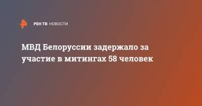 МВД Белоруссии задержало за участие в митингах 58 человек