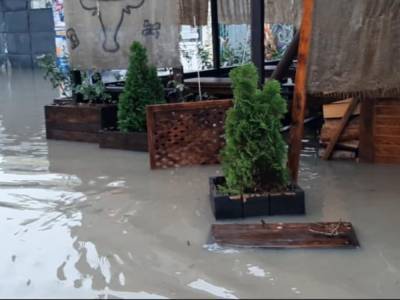 Киев затопило после дождя: горожане опубликовали впечатляющие фото и видео