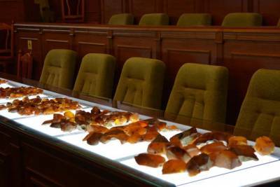 В Украине провели первый «янтарный» аукцион. Привлекли почти 22 миллиона