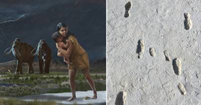 Ученые изучили следы мамы и малыша, оставленные 13 тысяч лет назад