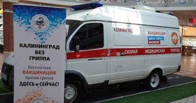В Калининграде продлили выездную вакцинацию в ТЦ "Европа"
