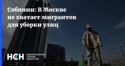 Собянин: В Москве не хватает мигрантов для уборки улиц